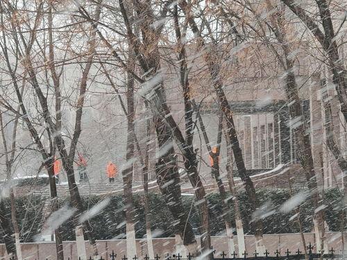 1024国产基地,引领科技潮流的国产创新力量